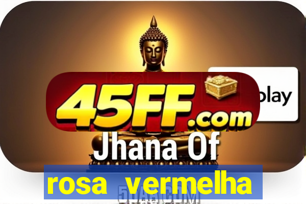 rosa vermelha (letra e cifra)